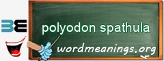 WordMeaning blackboard for polyodon spathula